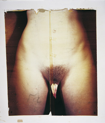 VULVA MAS GRANDES vulva mas grandes: