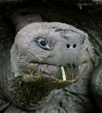En las Galápagos