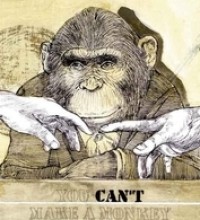 Evolución y progreso. Desentrañar la teoría para trenzarla con la realidad