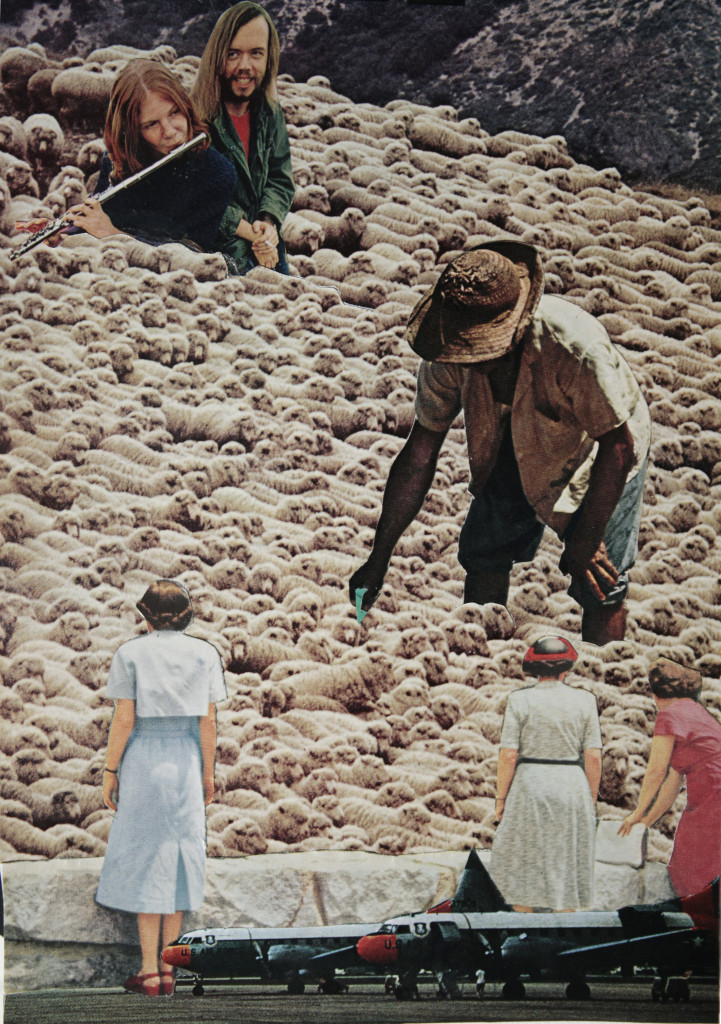 «Borregos», © Emiliano Mendoza Uribe