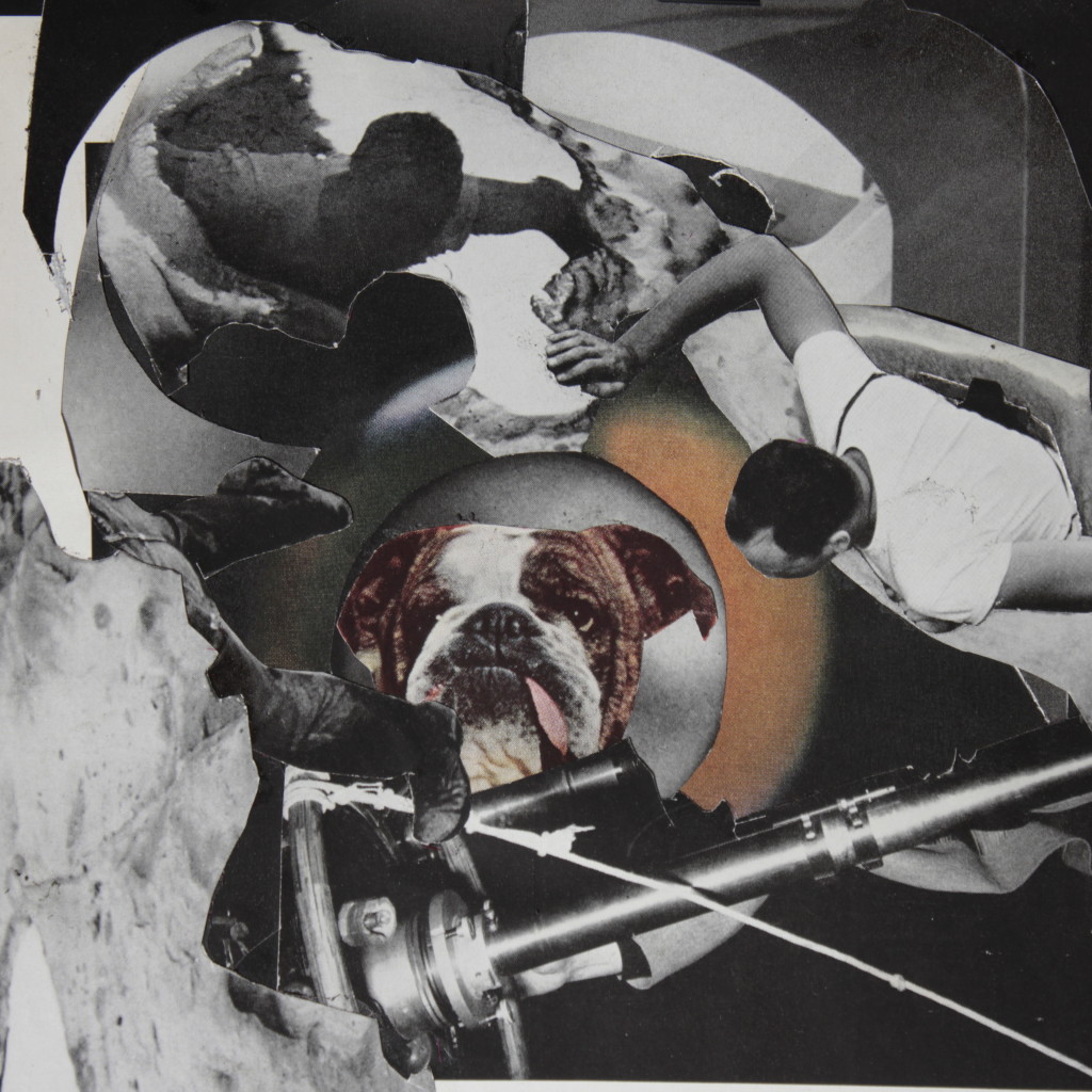 «Bulldog», © Emiliano Mendoza Uribe