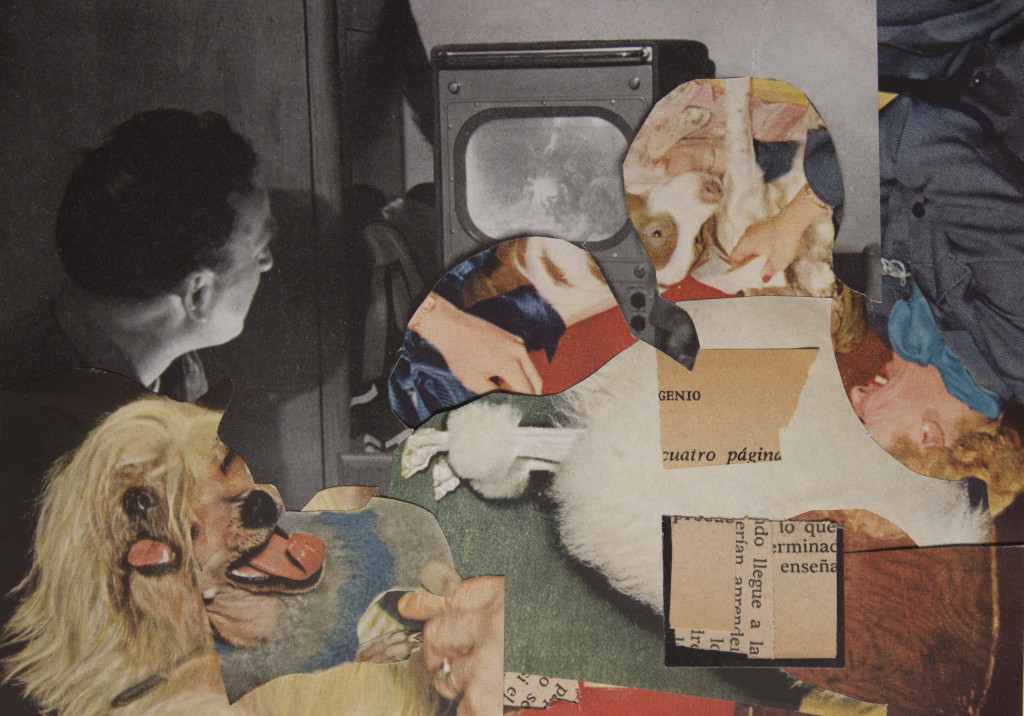 «Perritos», © Emiliano Mendoza Uribe